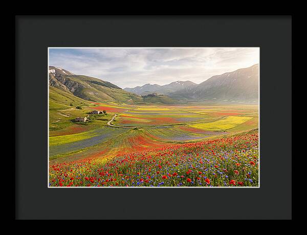Umbrian Valley In Bloom