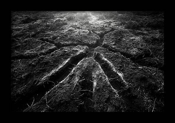 Underground Vole Tunnels