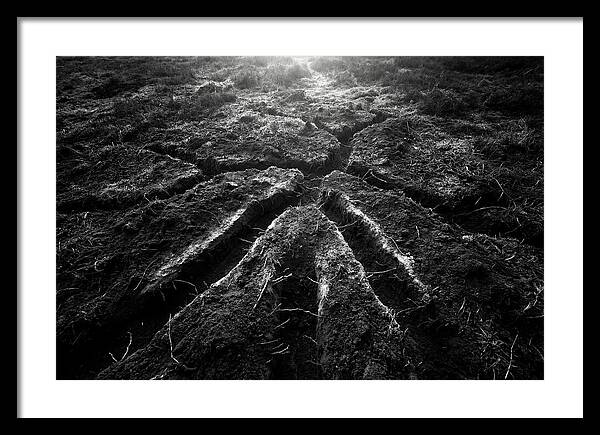 Underground Vole Tunnels