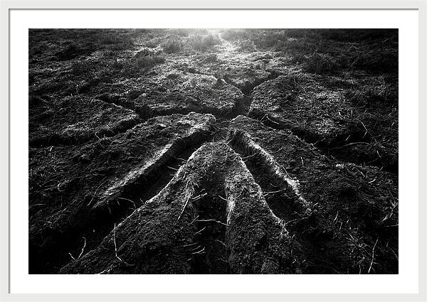 Underground Vole Tunnels
