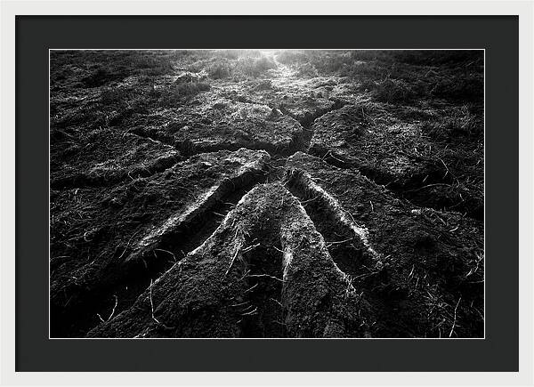 Underground Vole Tunnels