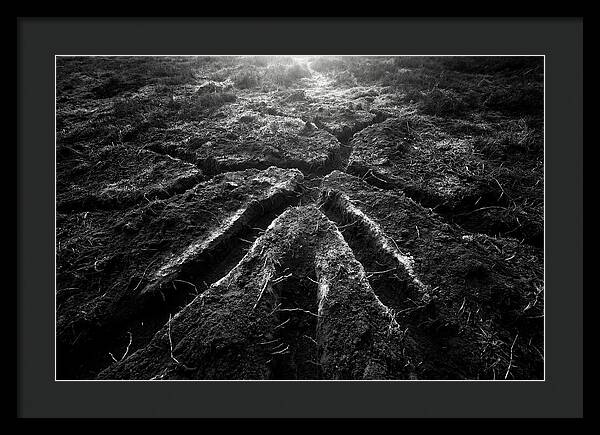 Underground Vole Tunnels