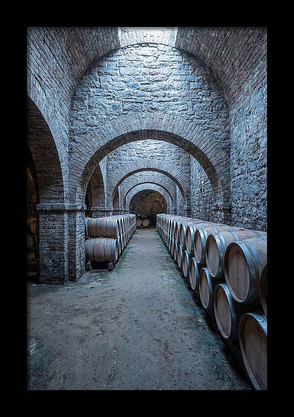Underground Wine Cellar Serenity