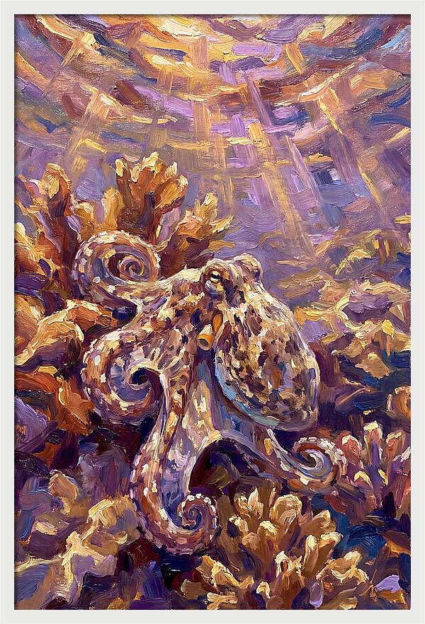 Underwater Octopus Encounter