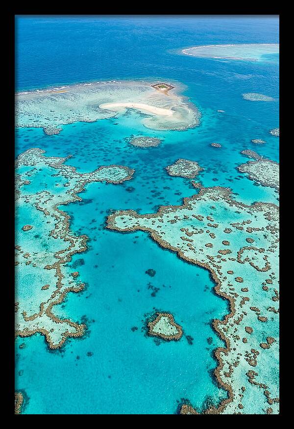 Underwater Paradise Awakening
