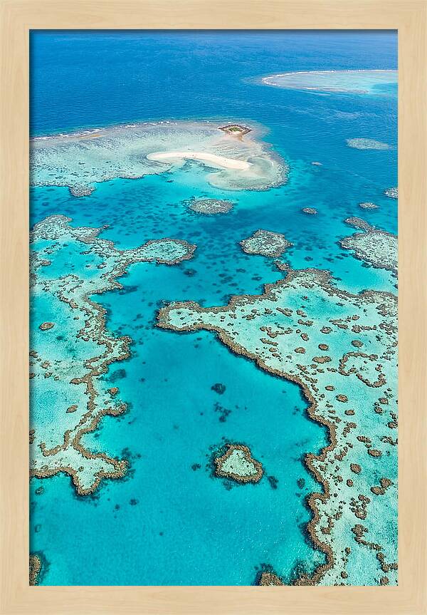 Underwater Paradise Awakening