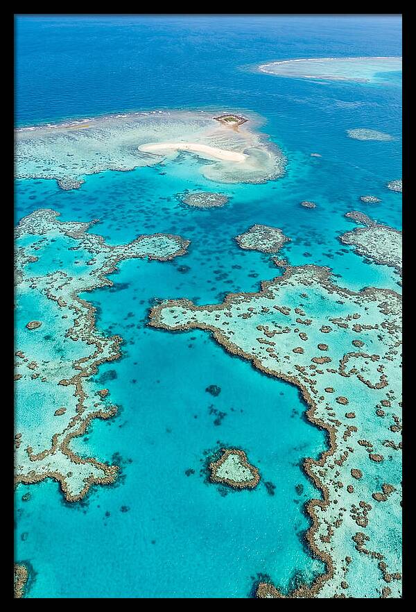 Underwater Paradise Awakening