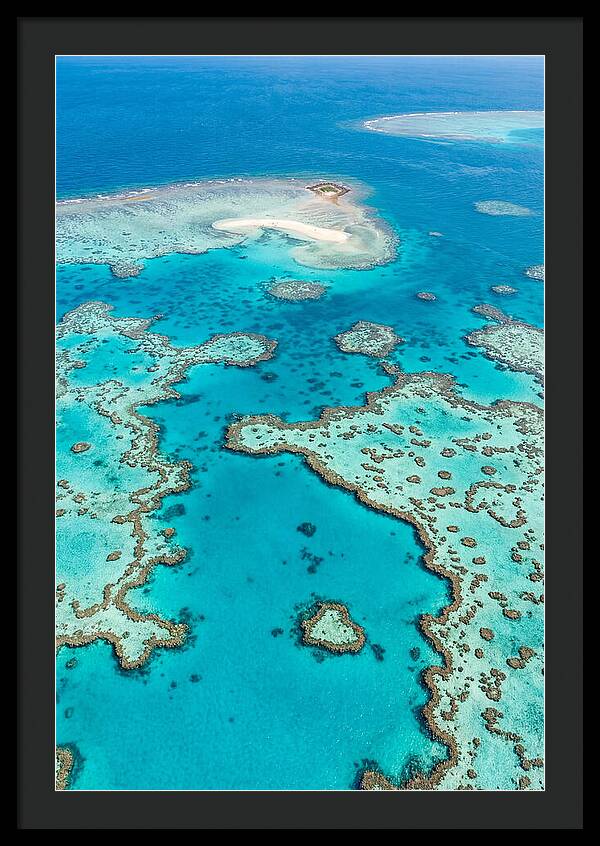 Underwater Paradise Awakening