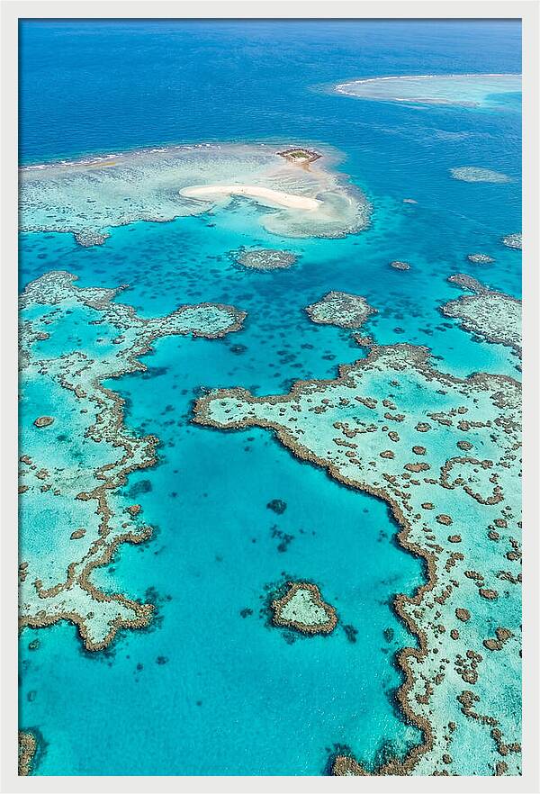 Underwater Paradise Awakening