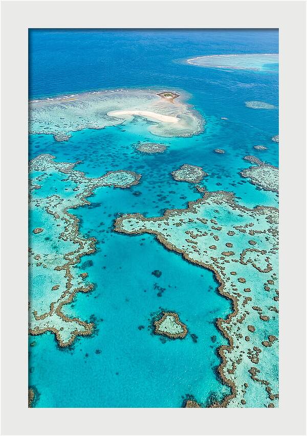 Underwater Paradise Awakening