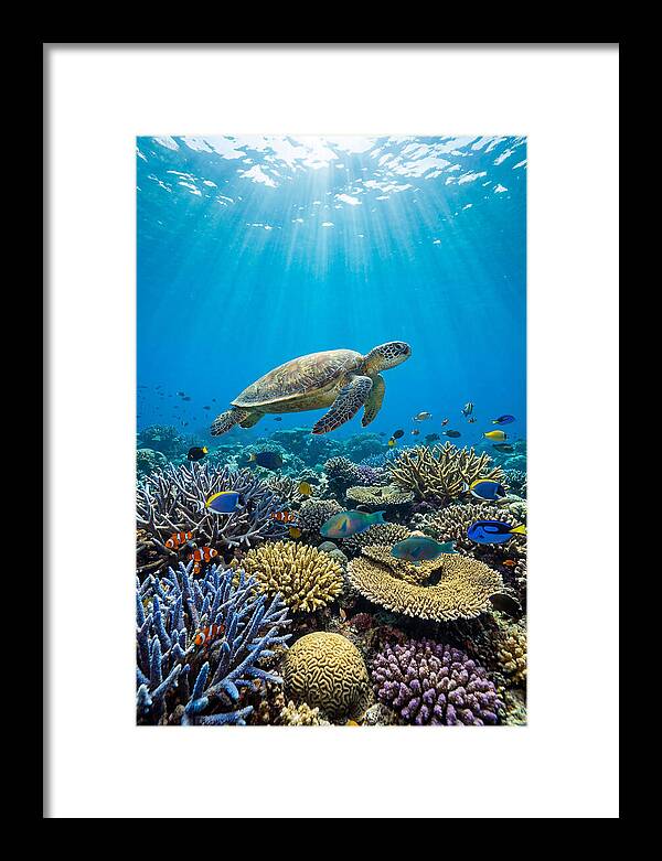 Underwater Paradise Exploration