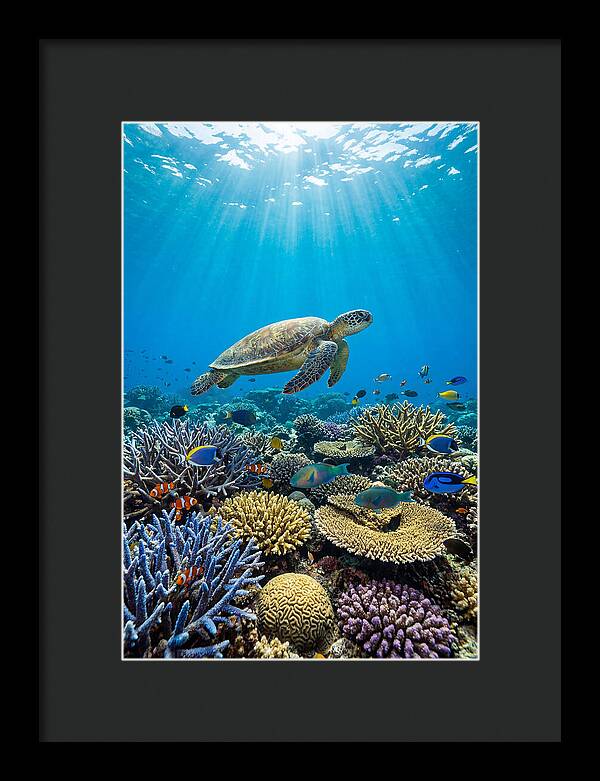Underwater Paradise Exploration