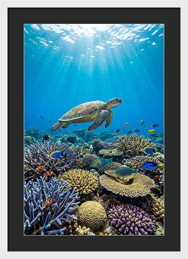 Underwater Paradise Exploration