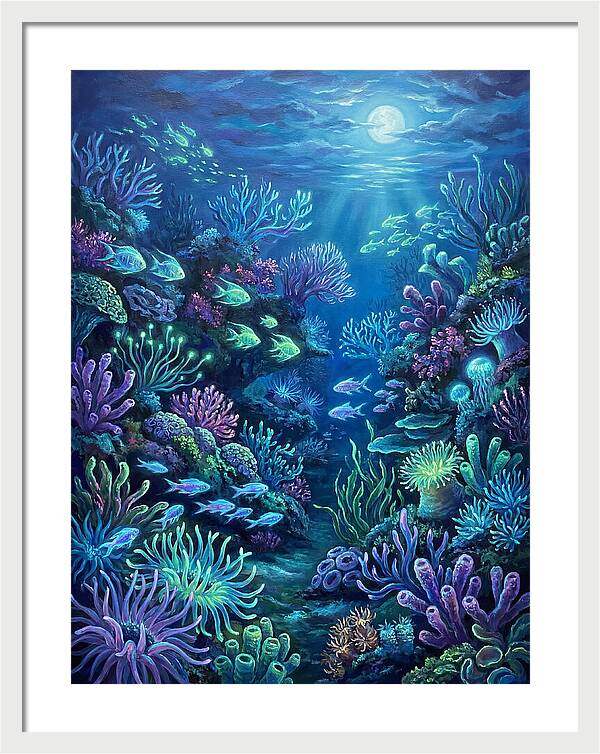 Underwater Reef Scene