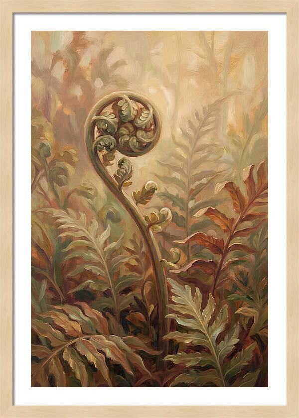 Unfurling Fiddlehead Fern In Morning Light