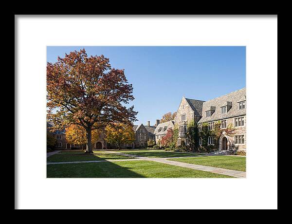 University Quadrangle In Autumn