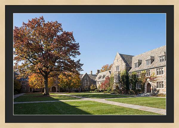 University Quadrangle In Autumn