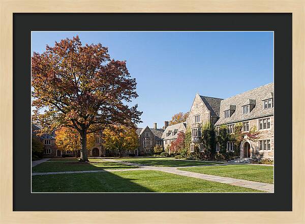 University Quadrangle In Autumn