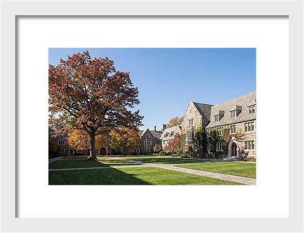 University Quadrangle In Autumn