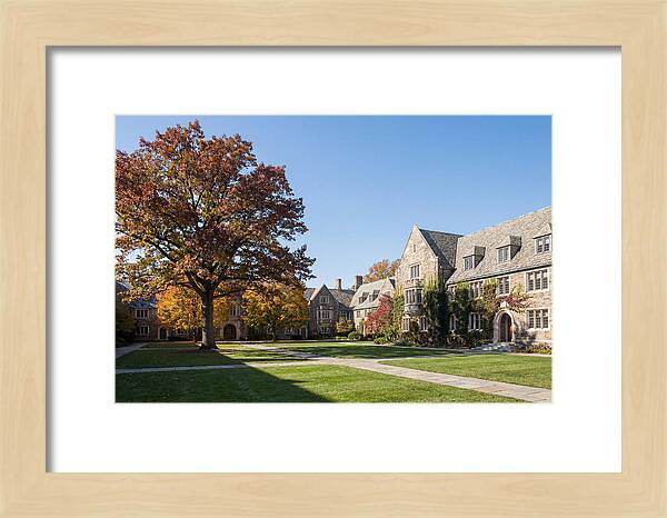 University Quadrangle In Autumn