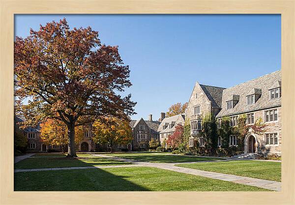 University Quadrangle In Autumn