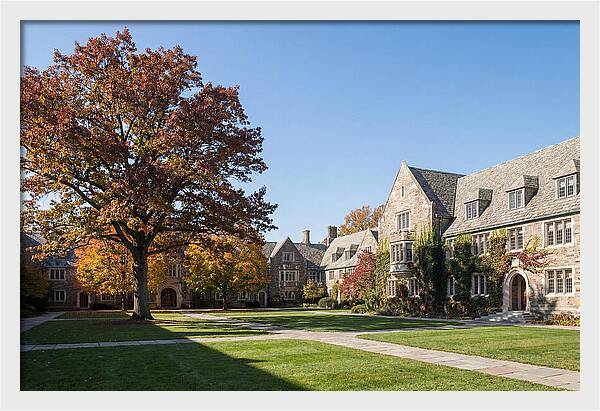 University Quadrangle In Autumn
