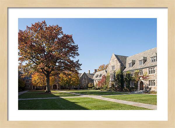 University Quadrangle In Autumn