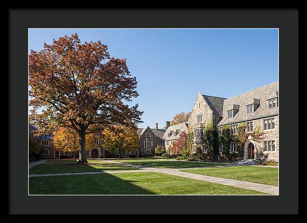 University Quadrangle In Autumn