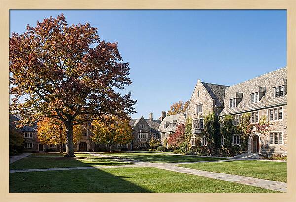 University Quadrangle In Autumn