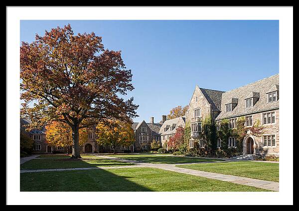 University Quadrangle In Autumn