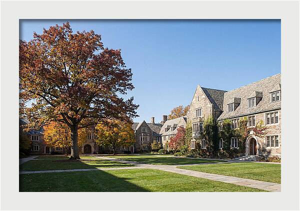 University Quadrangle In Autumn
