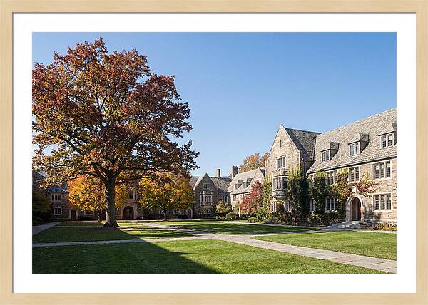 University Quadrangle In Autumn
