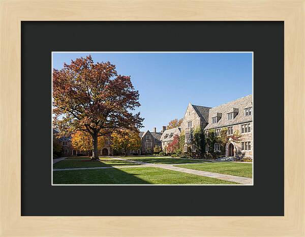 University Quadrangle In Autumn