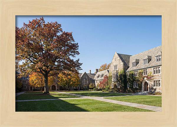 University Quadrangle In Autumn