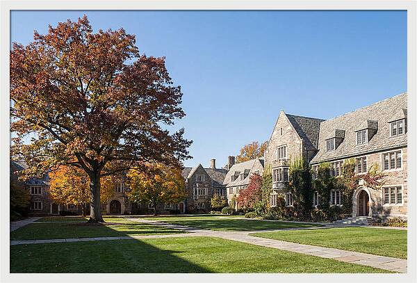 University Quadrangle In Autumn