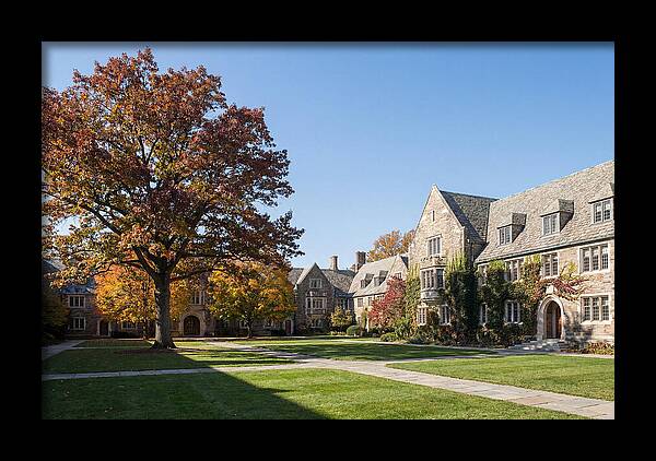 University Quadrangle In Autumn