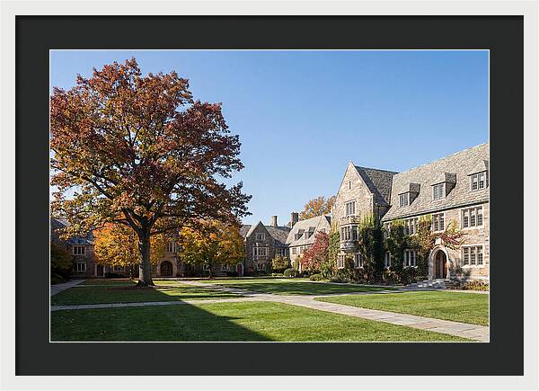 University Quadrangle In Autumn