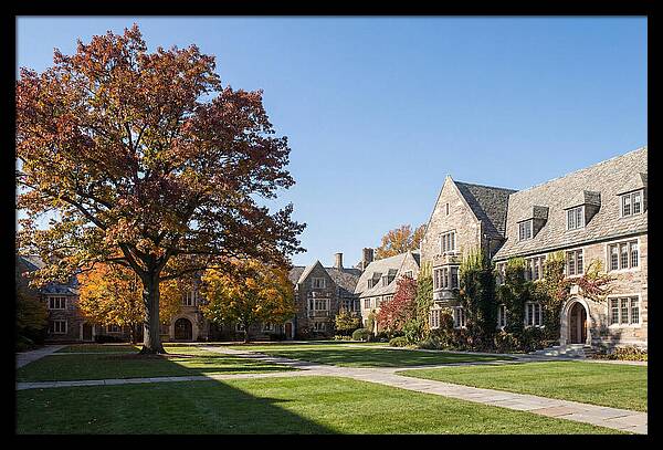 University Quadrangle In Autumn
