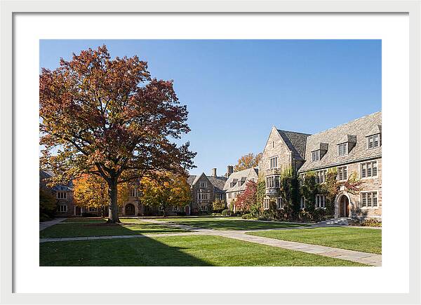 University Quadrangle In Autumn