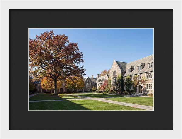 University Quadrangle In Autumn