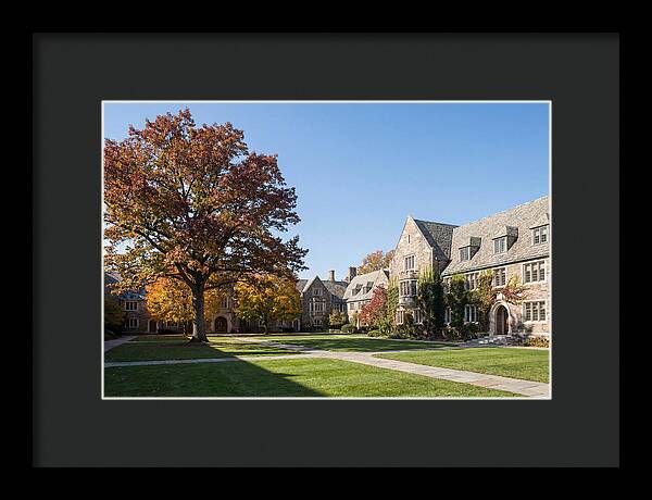 University Quadrangle In Autumn