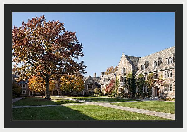 University Quadrangle In Autumn