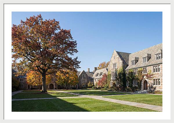 University Quadrangle In Autumn