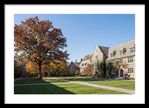 University Quadrangle In Autumn