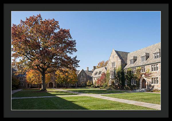 University Quadrangle In Autumn