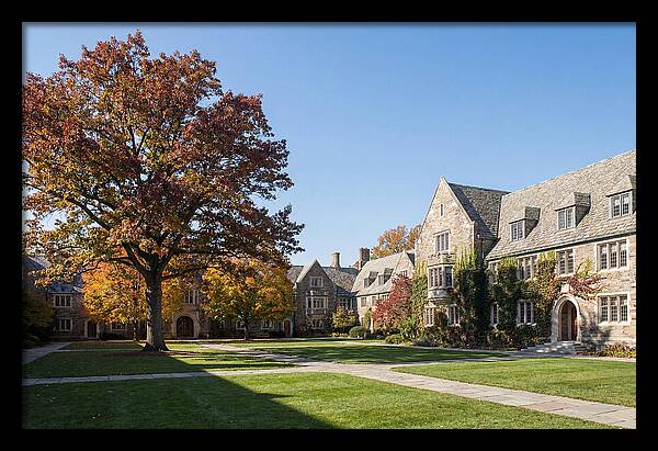 University Quadrangle In Autumn