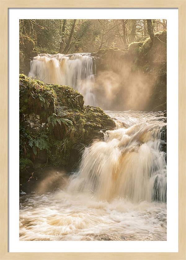 Upper Cascade Serenity