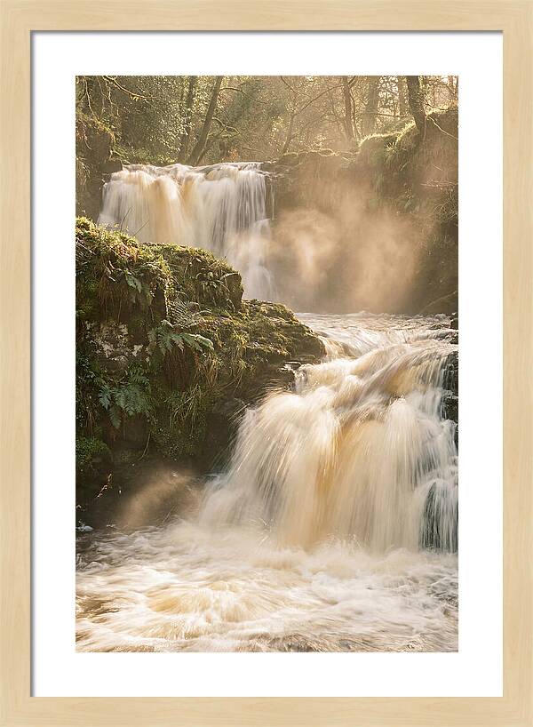 Upper Cascade Serenity
