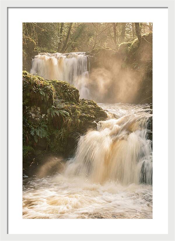 Upper Cascade Serenity