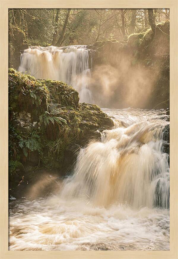 Upper Cascade Serenity